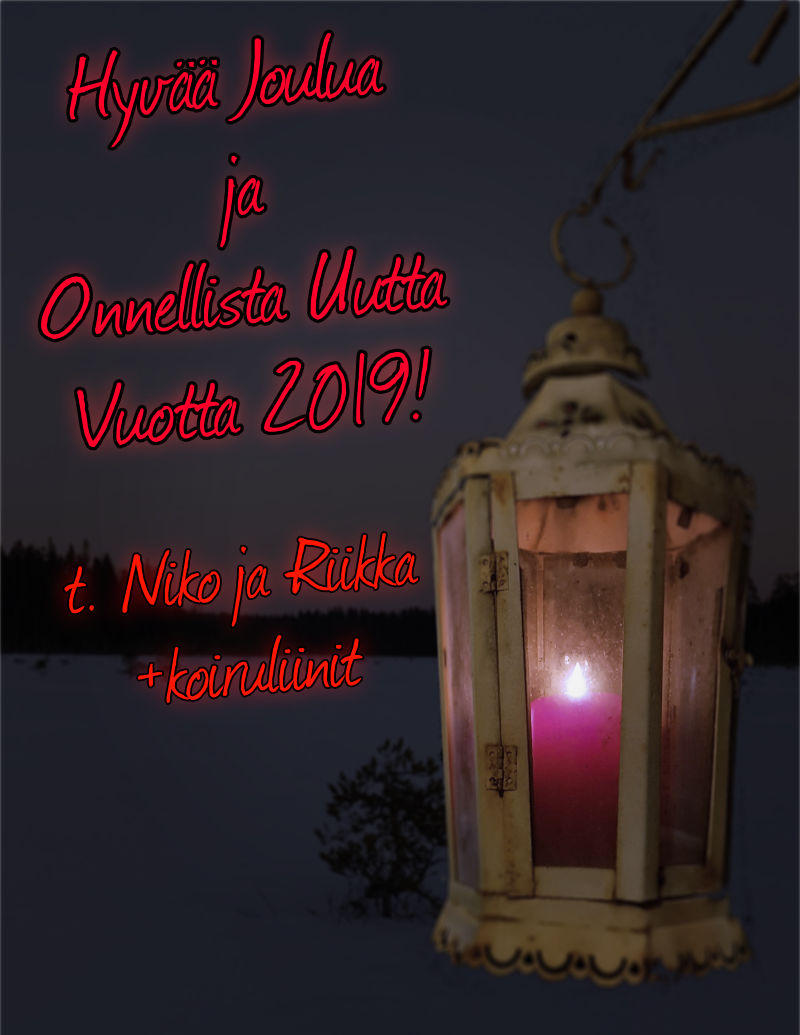 Hyv&auml;&auml; Joulua ja Onnellista Uutta Vuotta 2019! Merry Xmas and Happy New Year 2019!